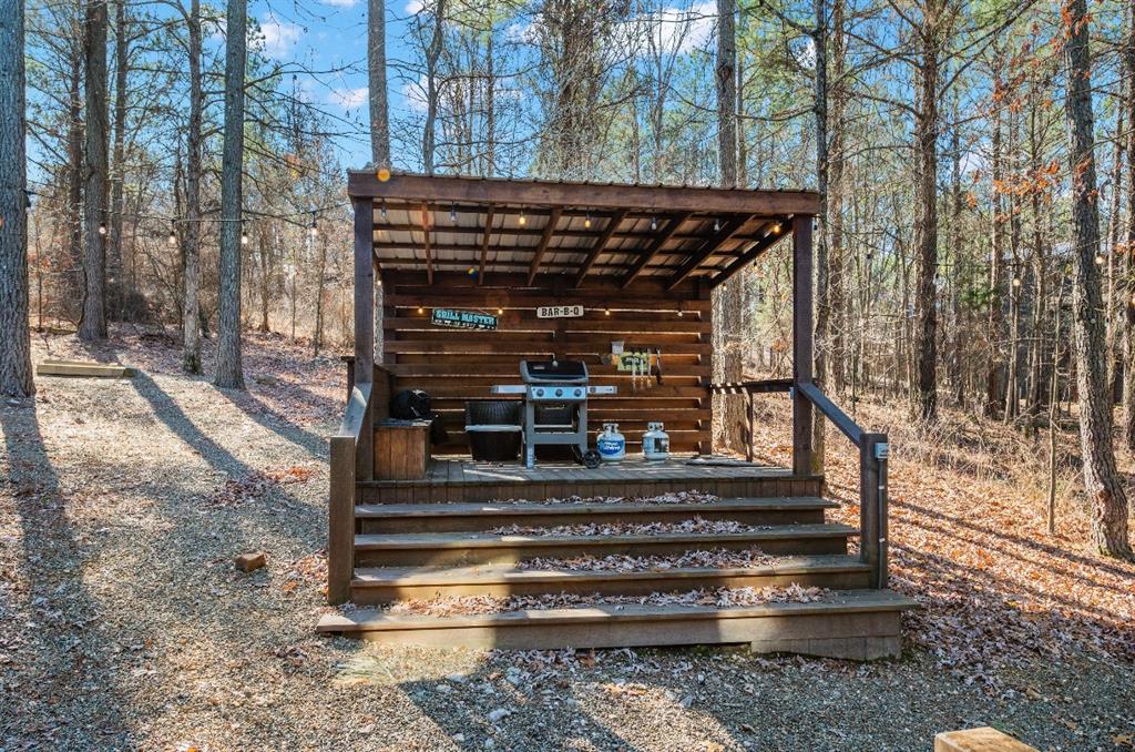 405 Red Berry Trail Property Photo 47