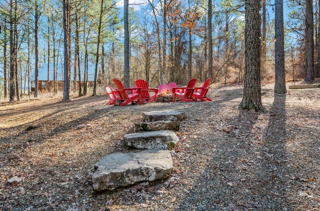 405 Red Berry Trail Property Photo 48