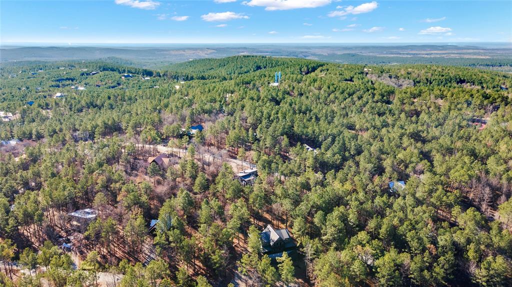 405 Red Berry Trail Property Photo 50