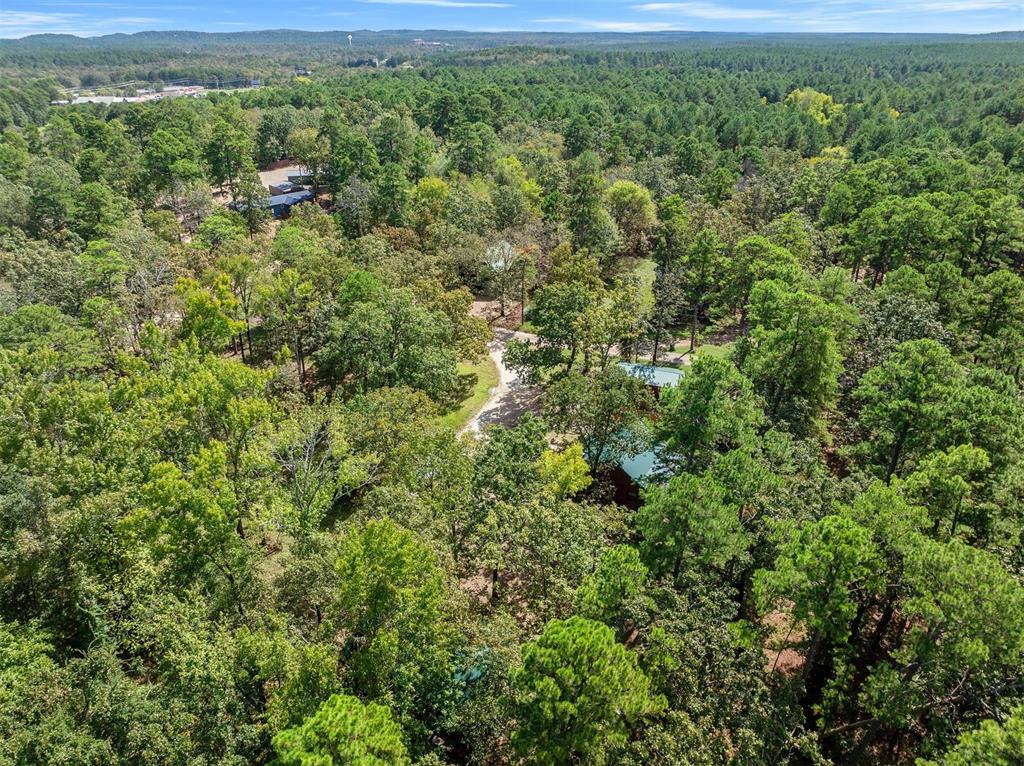 183 Pine Meadow Lane Property Photo 34