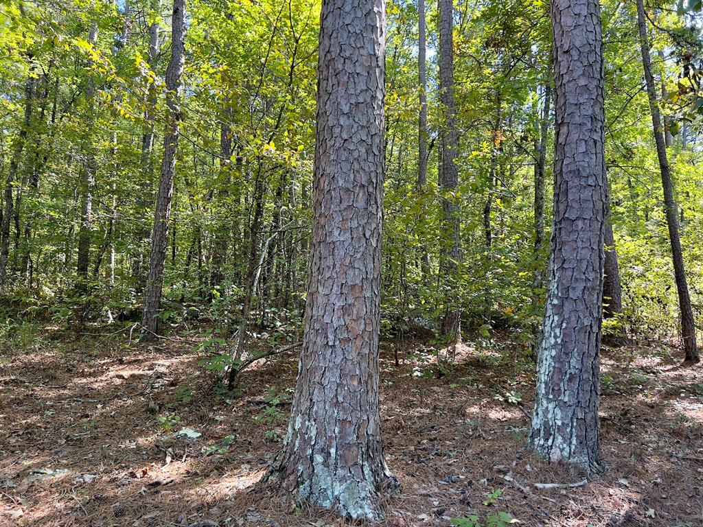 24578 Rocky Drive Property Photo 41