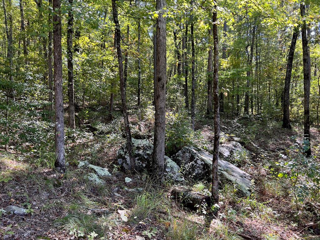 24578 Rocky Drive Property Photo 42