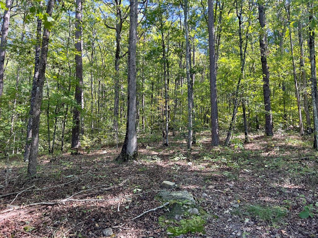 24578 Rocky Drive Property Photo 43