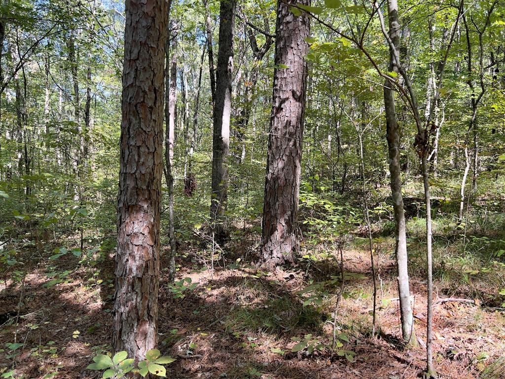 24578 Rocky Drive Property Photo 46