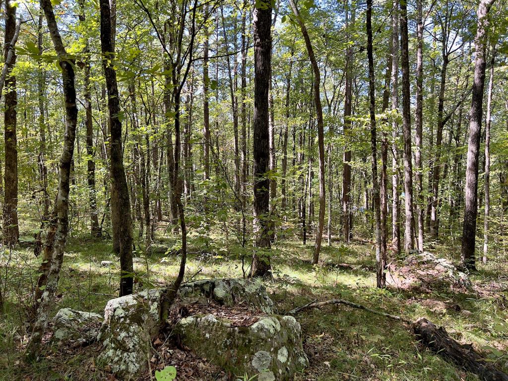 24578 Rocky Drive Property Photo 48