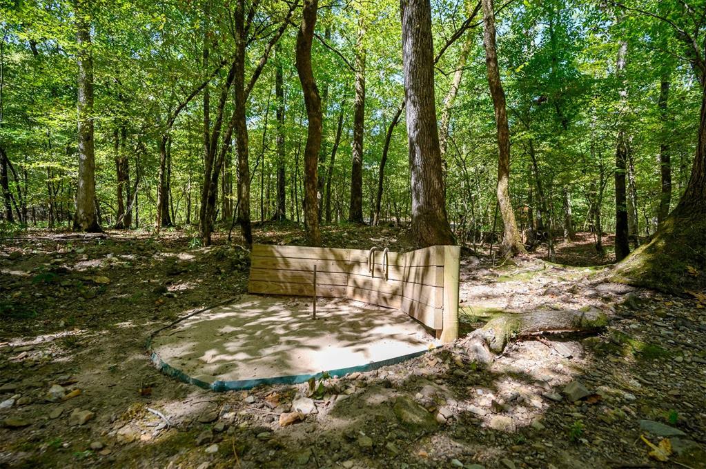 369 Timber Creek Trail Property Photo 40