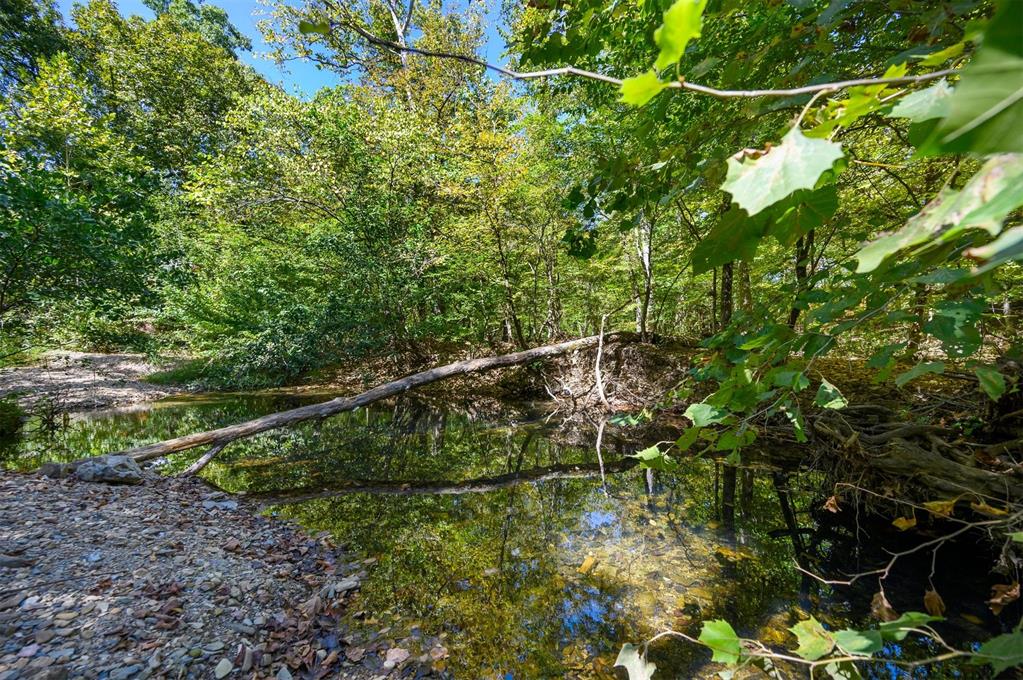 369 Timber Creek Trail Property Photo 43