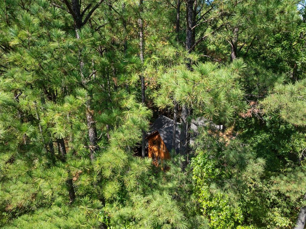 369 Timber Creek Trail Property Photo 46