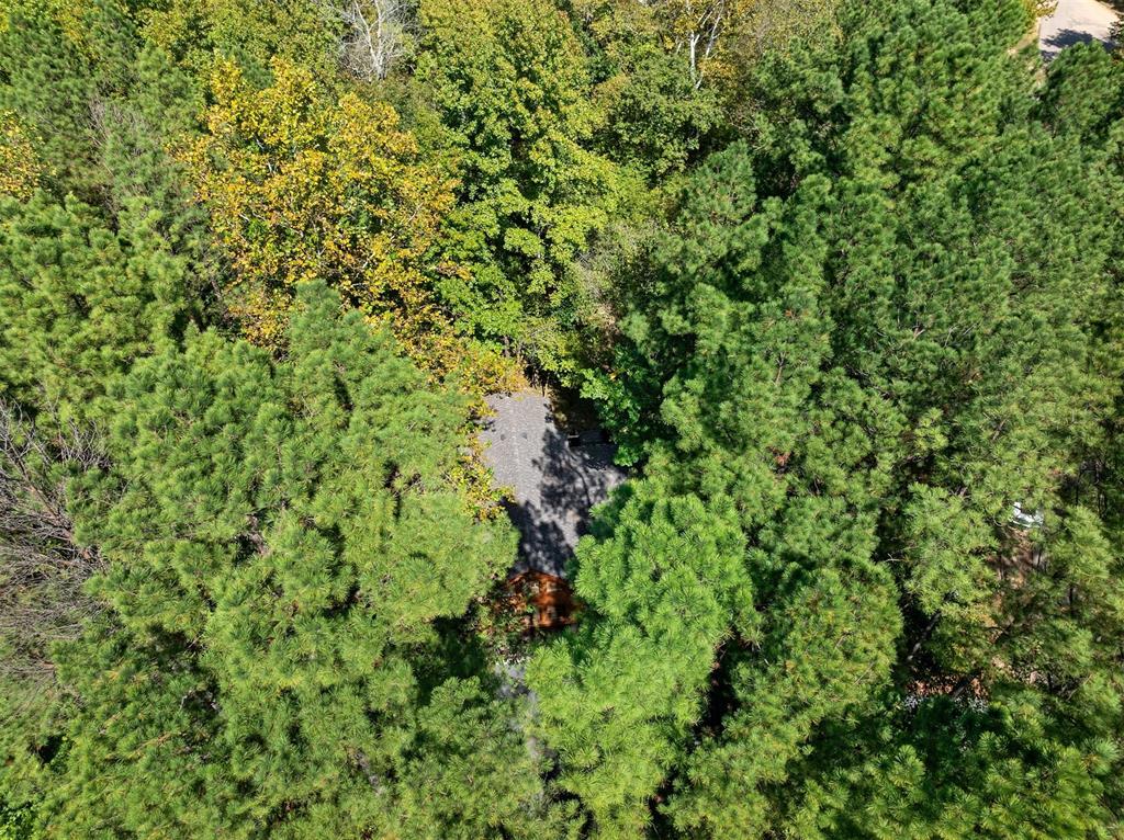 369 Timber Creek Trail Property Photo 47