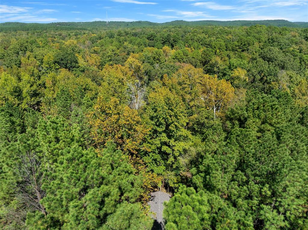 369 Timber Creek Trail Property Photo 48