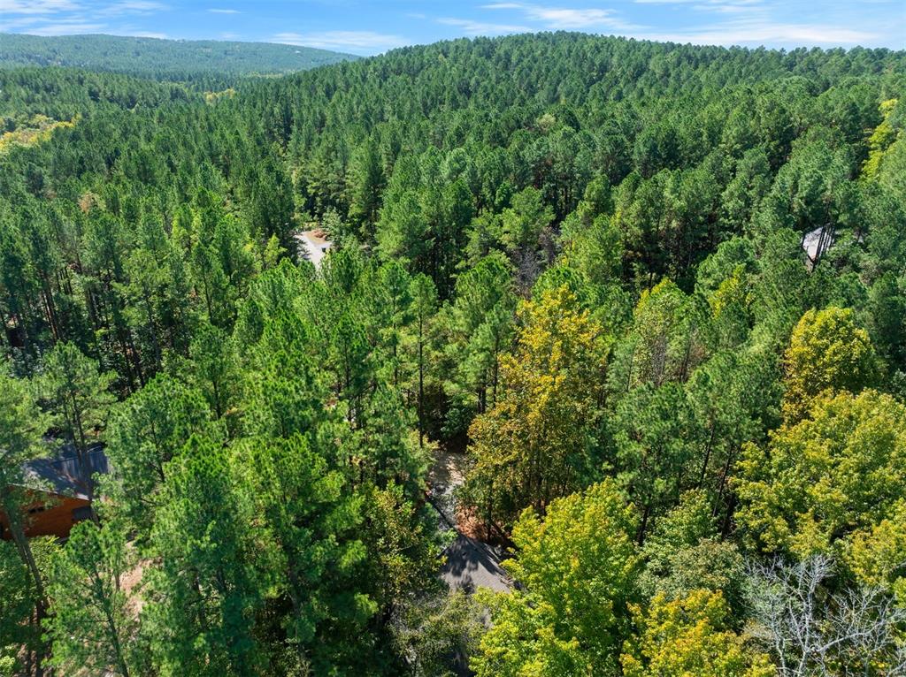 369 Timber Creek Trail Property Photo 49