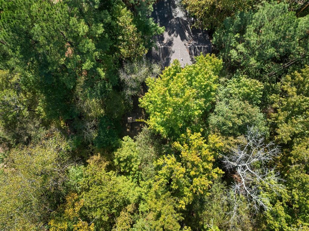369 Timber Creek Trail Property Photo 50