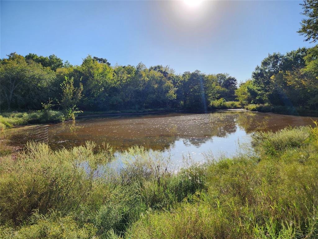 37778 Cherry Hill Road Property Photo 18