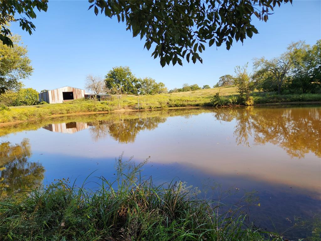 37778 Cherry Hill Road Property Photo 19