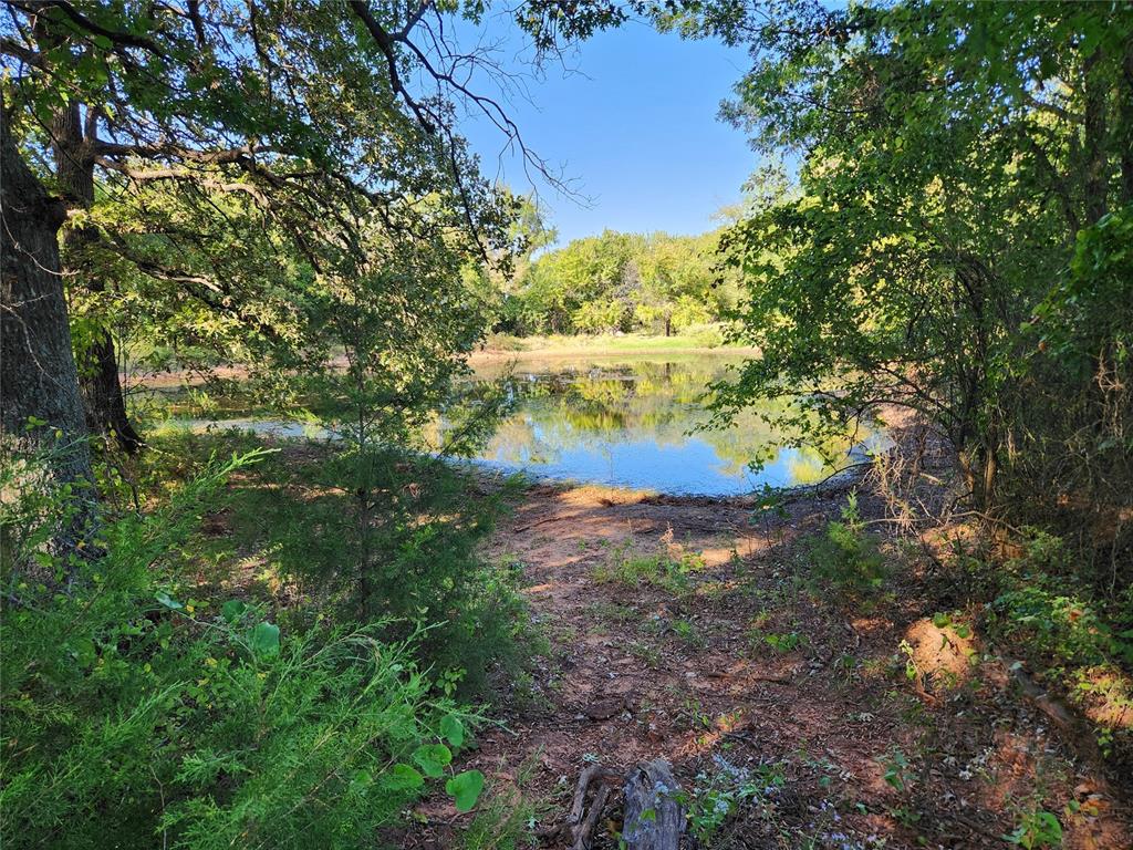 37778 Cherry Hill Road Property Photo 21