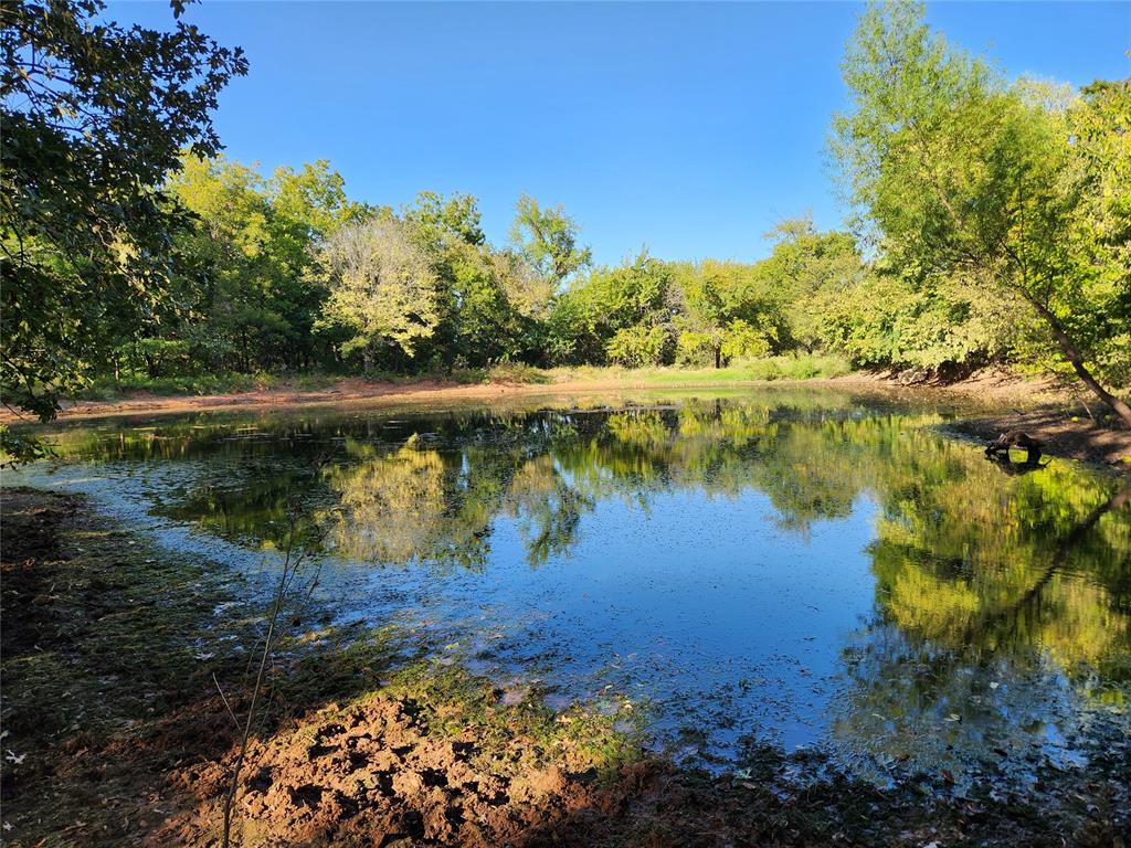 37778 Cherry Hill Road Property Photo 22