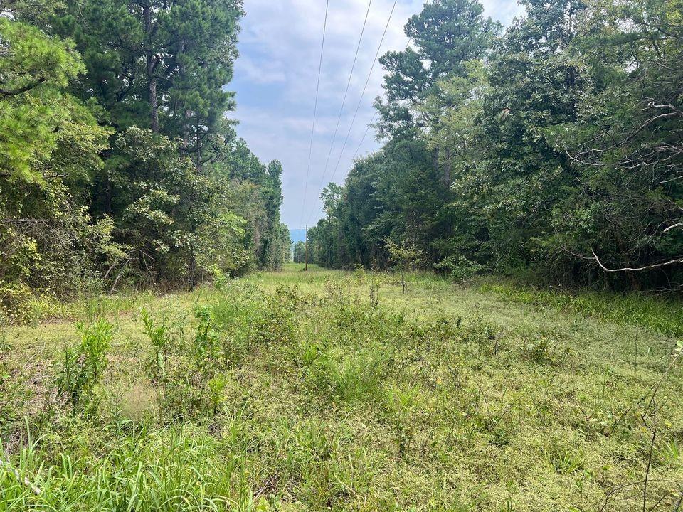 0 County Road D4737 Property Photo 1
