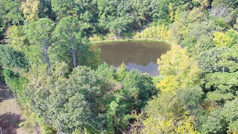 0 County Road D4737 Property Photo 4