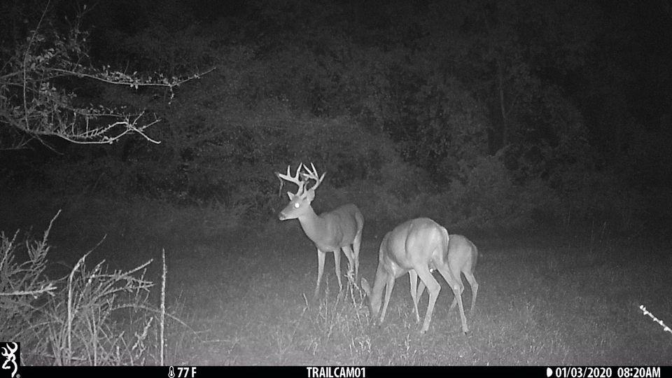0 County Road D4737 Property Photo 6