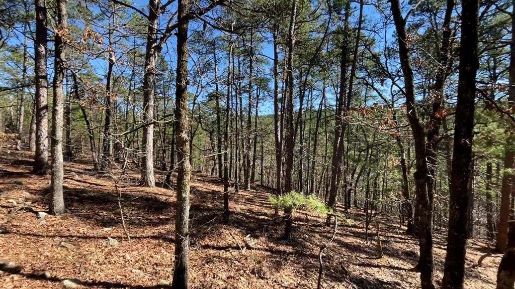 964 Timberline Trail Property Photo 3