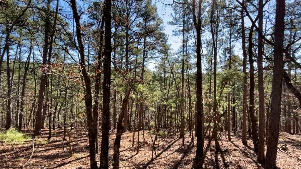964 Timberline Trail Property Photo 4