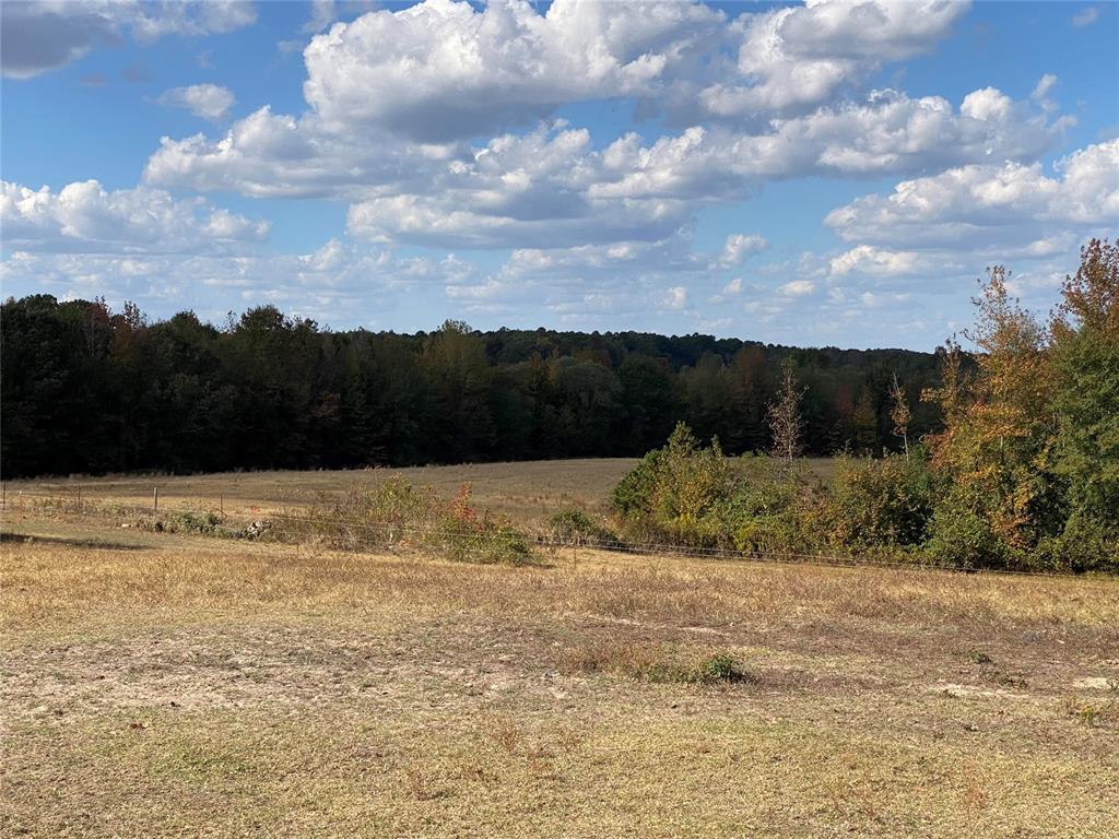 309 Rufe Road Property Photo 24