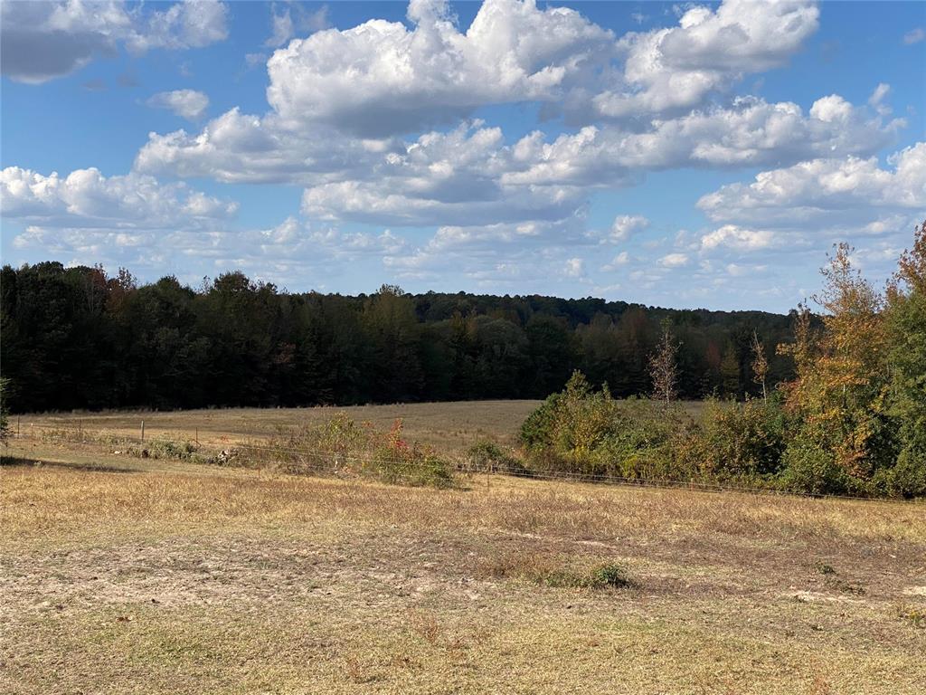351 Rufe Road Property Photo 8