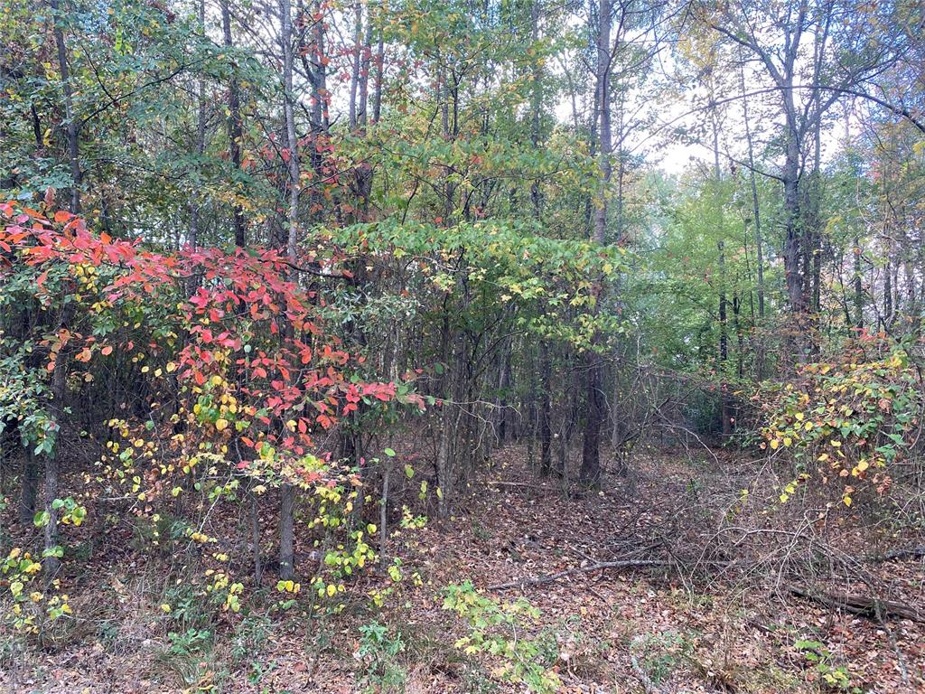 351 Rufe Road Property Photo 12