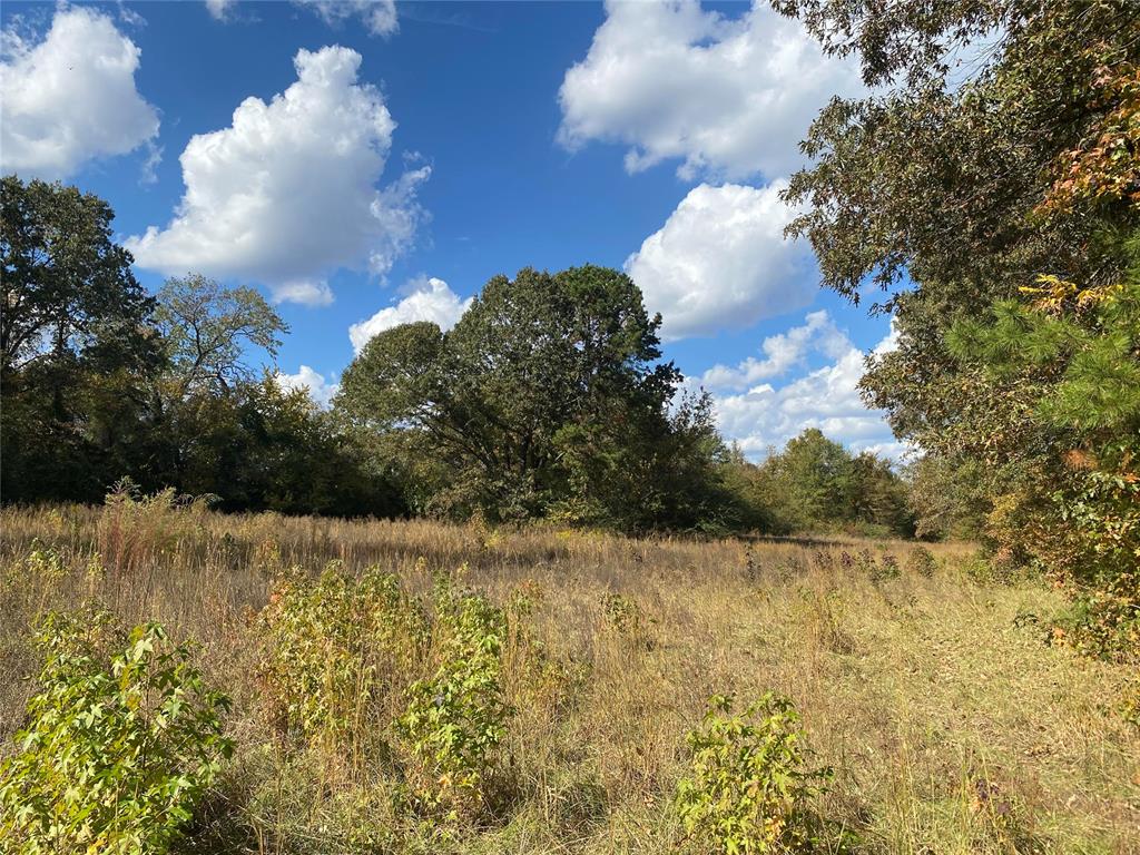 351 Rufe Road Property Photo 13