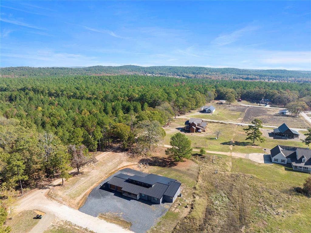 18 Hickory Springs Trail Property Photo 10