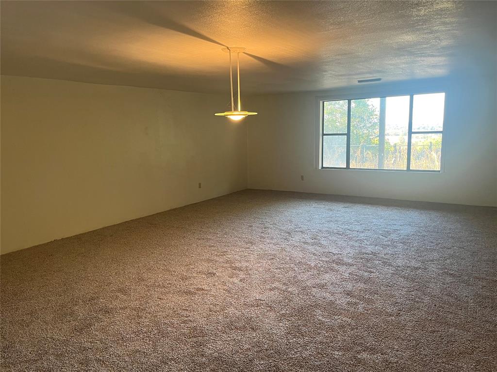 41476 Highway 59 Property Photo 13