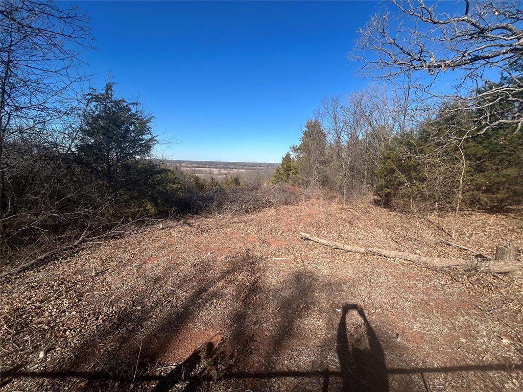 41476 Highway 59 Property Photo 30