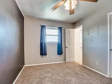 4801 Trapp Drive Property Photo 13
