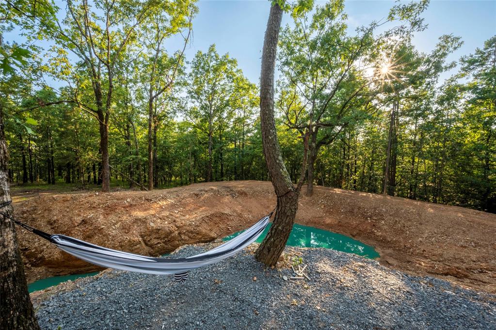 46 Woodland Bluff Trail Property Photo 44