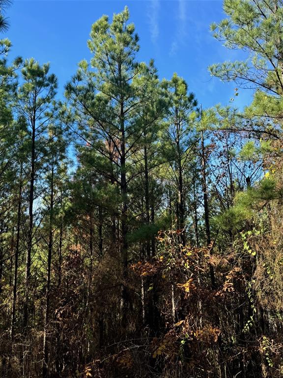 117 Sugar Plum Lane Property Photo 1