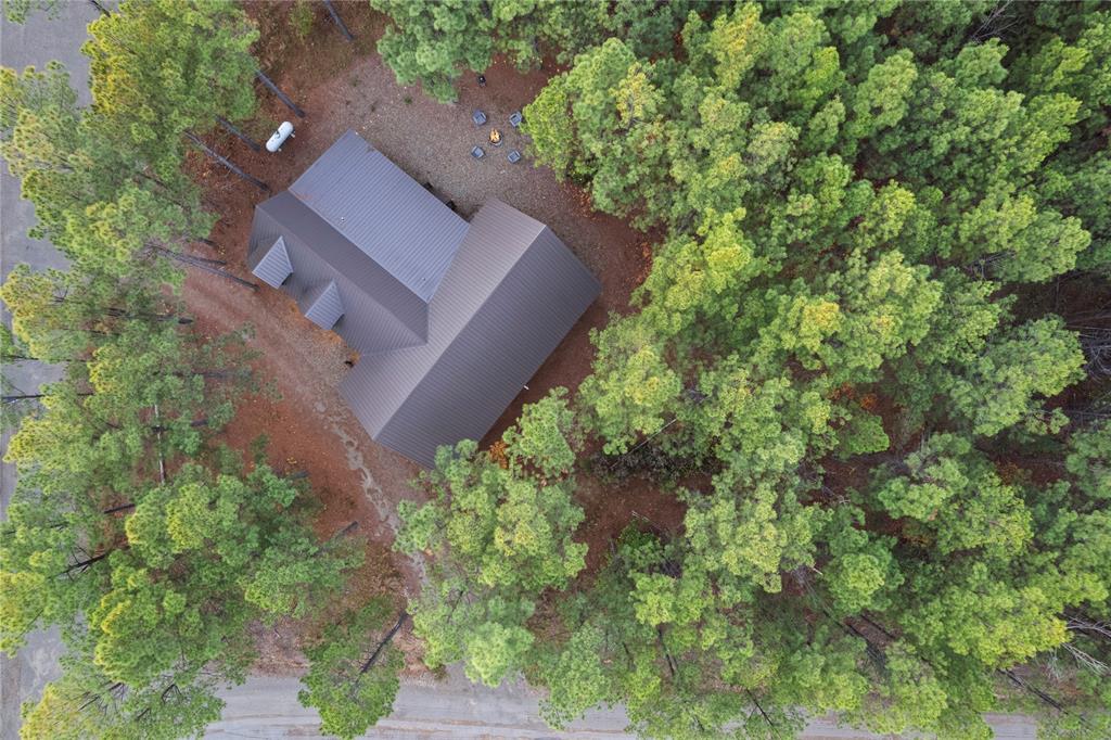 157 Bear Oak Trail Property Photo 7