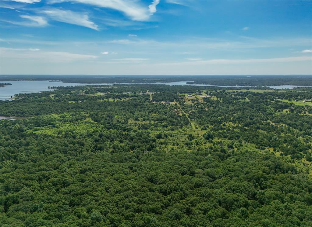 16216 Patterson Road Property Photo 38