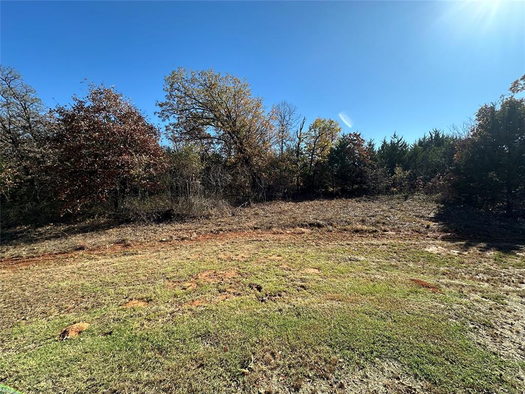 16216 Patterson Road Property Photo 41