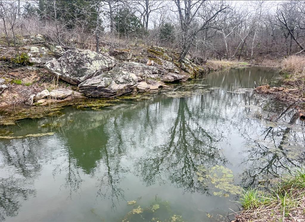 11060 Ns 364 Road Property Photo 10