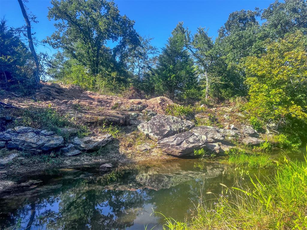 11060 Ns 364 Road Property Photo 29