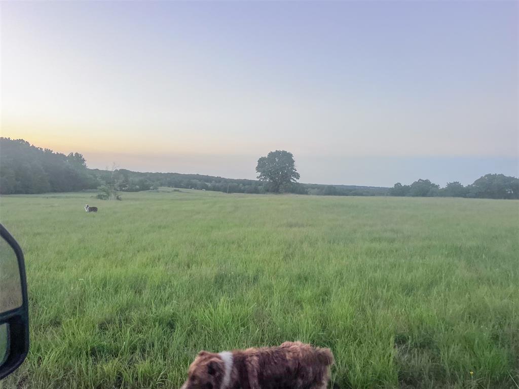 11060 Ns 364 Road Property Photo 31