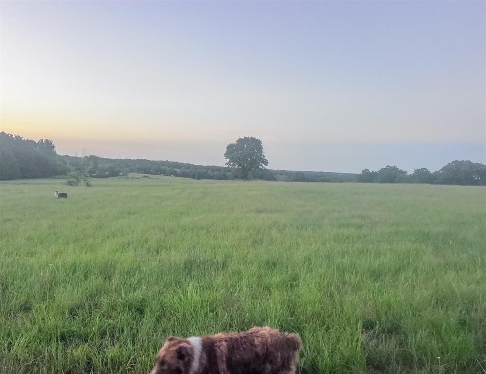 11060 Ns 364 Road Property Photo 32