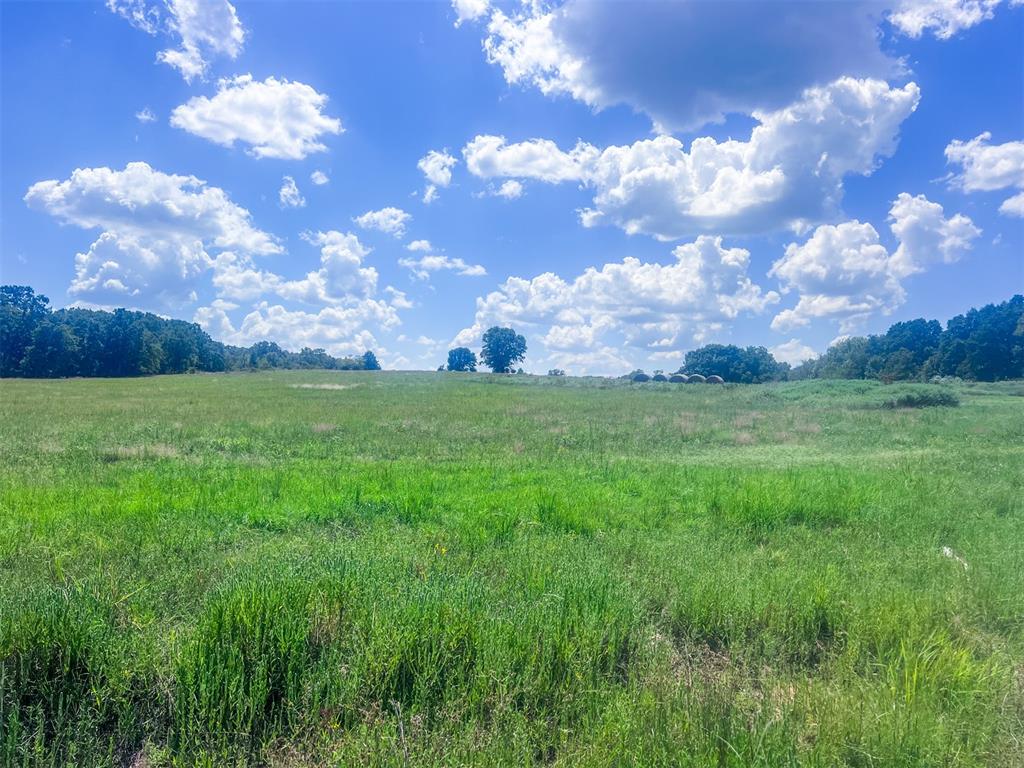 11060 Ns 364 Road Property Photo 33