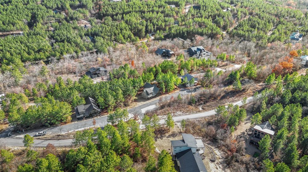 93 Twisted Pine Trail Property Photo 46