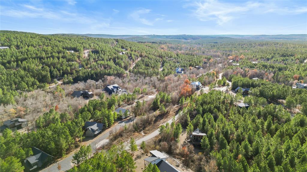 93 Twisted Pine Trail Property Photo 47