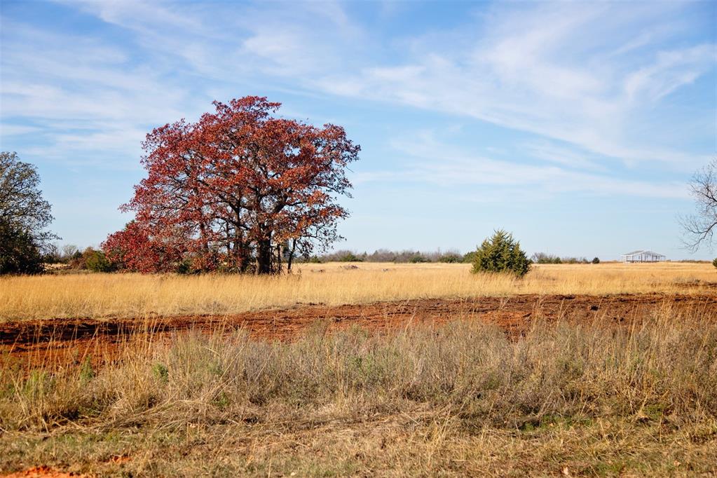 7300 Old Oak Trail Property Photo 1