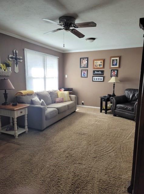 406 Winona Property Photo 4