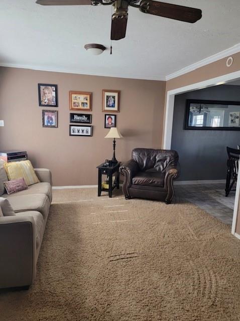 406 Winona Property Photo 5