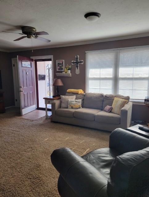 406 Winona Property Photo 6