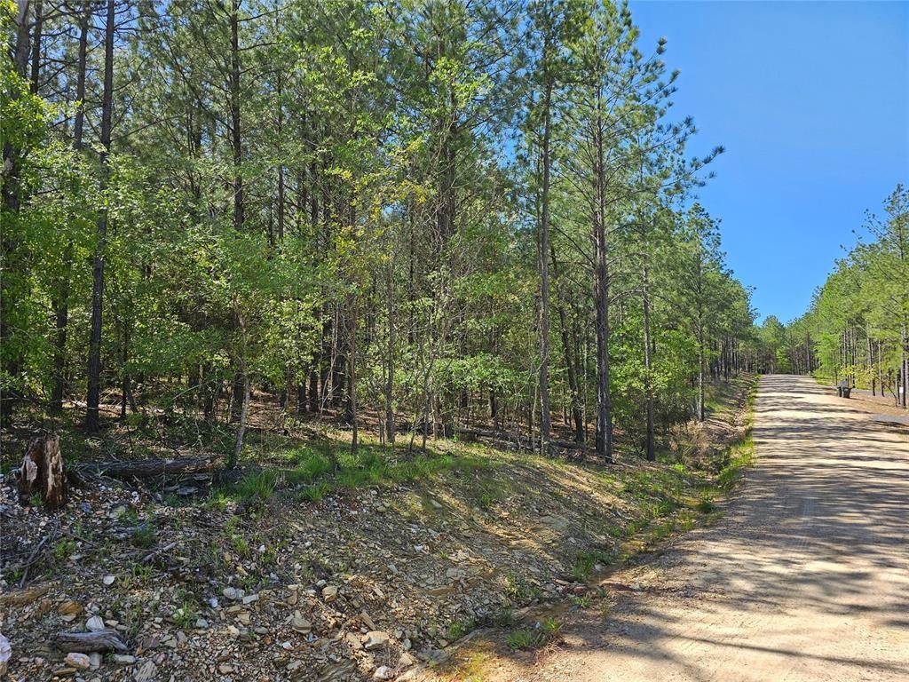 401 Hochapine Trail Property Photo 1